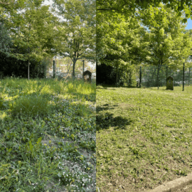 avant après entretien espaces verts